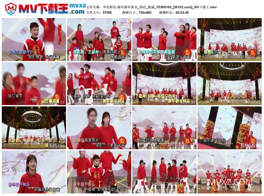 华语群星-新年新年快乐_国语_祝福_YE500193